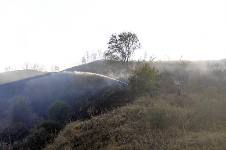 Manisa'da yerleşim yerlerini tehdit eden yangın kısa sürede söndürüldü