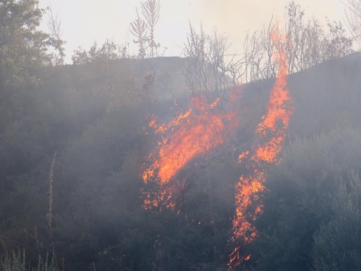 Manisa'da yerleşim yerlerini tehdit eden yangın kısa sürede söndürüldü
