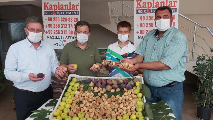 Nazilli’de sezonun ilk incir alım satımı gerçekleştirildi