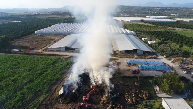 Antalya’da çiftlikteki yemler alev alev yandı