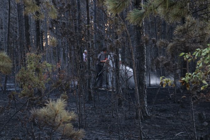 Balya makinesinden sıçrayan kıvılcımlar orman yangınına neden oldu