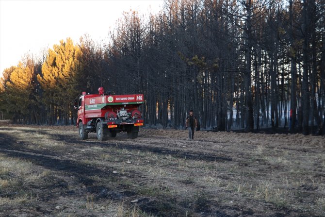 Balya makinesinden sıçrayan kıvılcımlar orman yangınına neden oldu