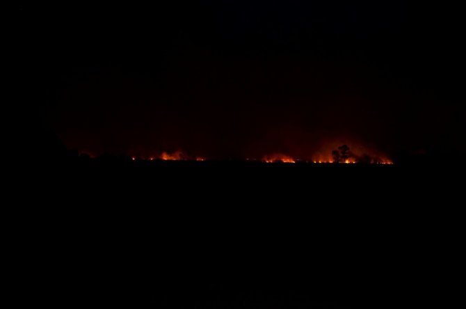 Samsun’da sazlık yangını