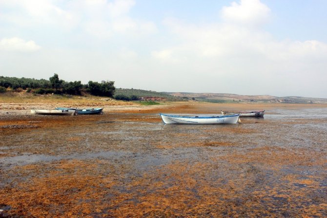 Korkutan görüntü, Marmara Gölü'nde su seviyesi sıfırlandı