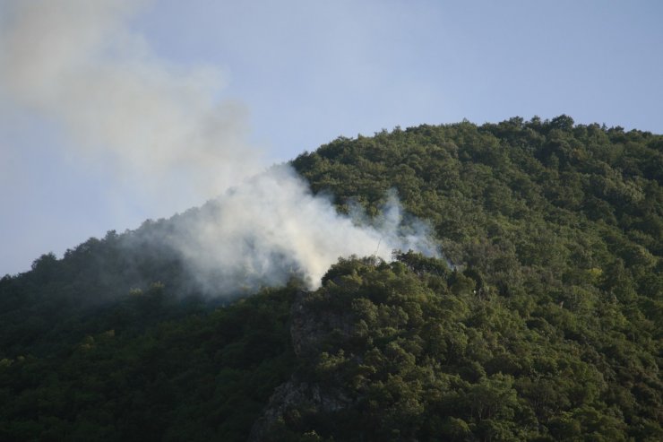 Ormana sıçrayan yangın havadan müdahale ile söndürüldü