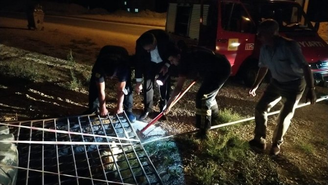 Konya'da sulama kanalına düşen köpeği itfaiye kurtardı
