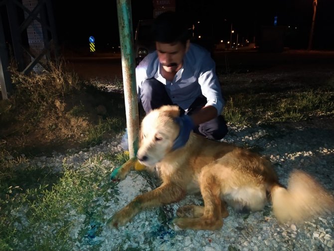 Konya'da sulama kanalına düşen köpeği itfaiye kurtardı