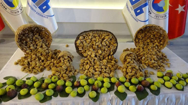 Sezonun ilk kuru inciri, kilosu 150 liradan alındı