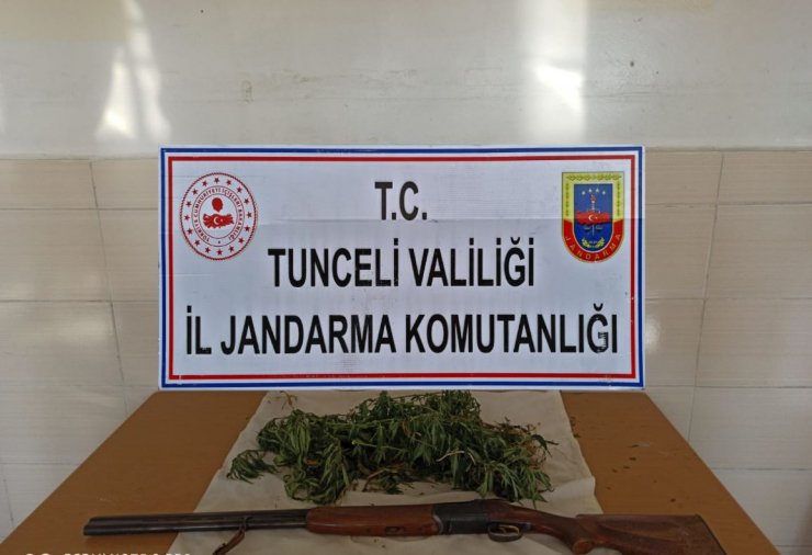 Tunceli'de uyuşturucu operasyonu: 1 gözaltı