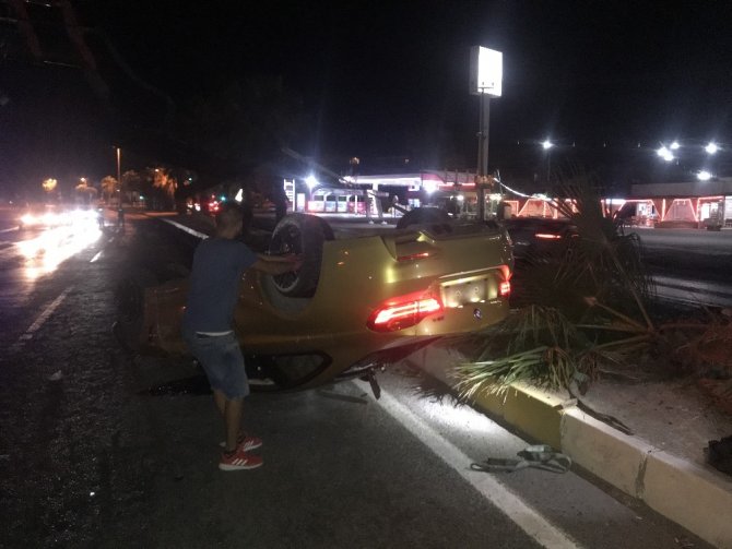 Lüks otomobil palmiye ağacını yıktı