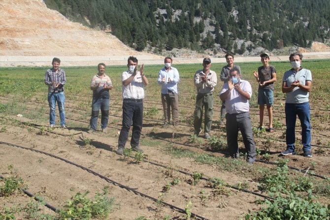 Konya'da çiftçiler, zararlarını karşılamadığını iddia ettikleri sigorta şirketini tarlada protesto etti