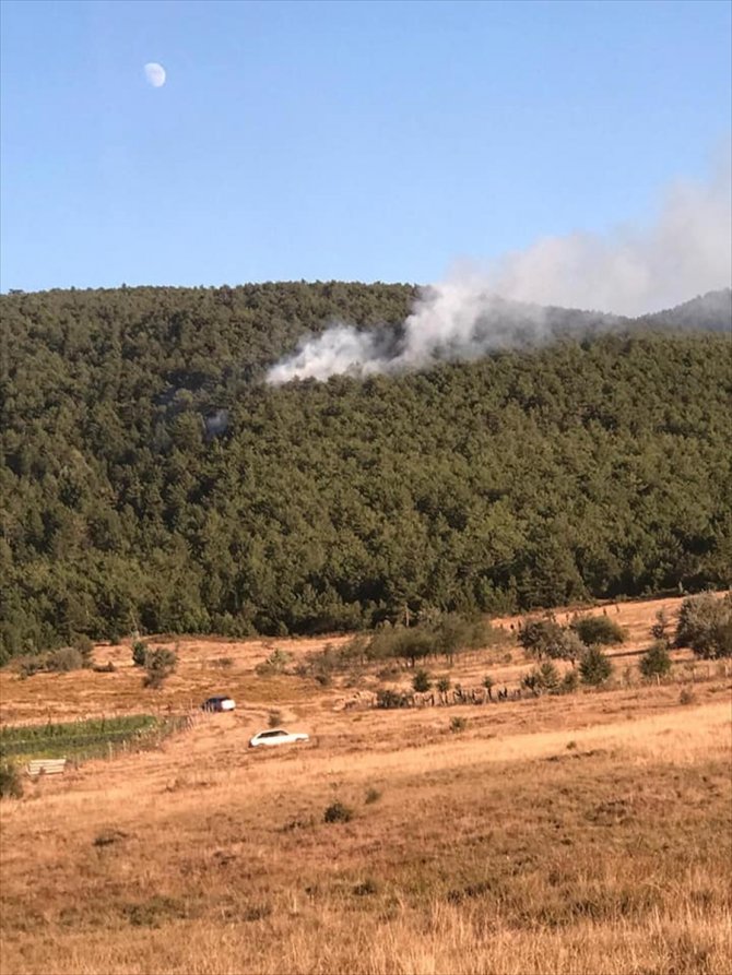 Konya'daki ormanlık alanda çıkan yangın korkuttu