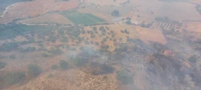 Hatay'da çıkan orman yangınında 1,5 hektar alan zarar gördü