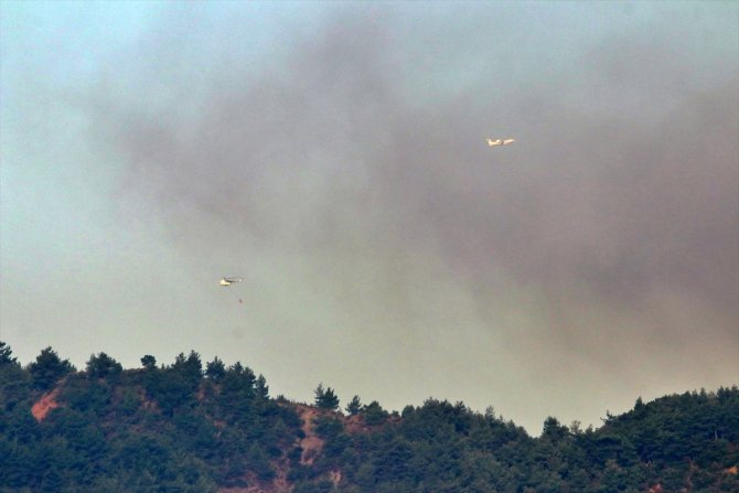 Hatay'daki orman yangınına havadan müdahale tekrar başladı
