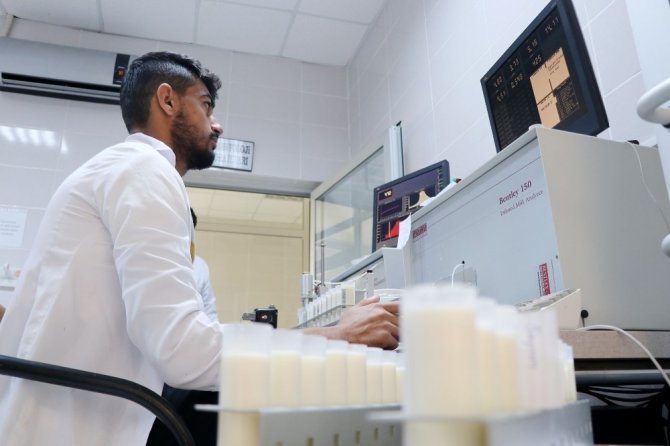 Aksaray’daki süt analiz laboratuvarı İç Anadolu’ya hizmet veriyor