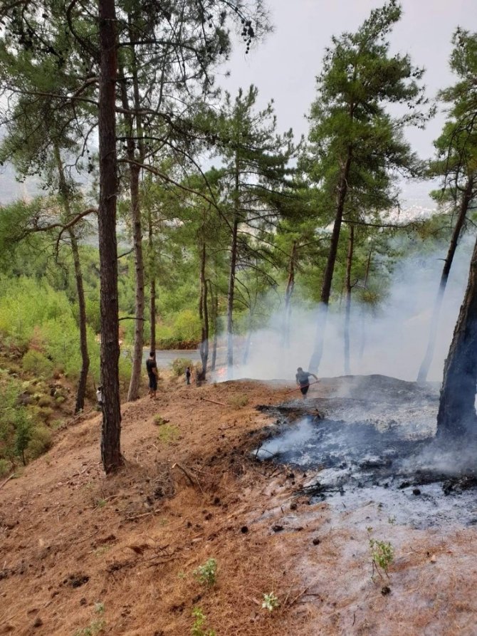 Köylüler seferber oldu, ormanda çıkan yangın kısa sürede söndürüldü