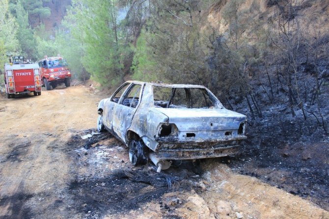 Alev alan otomobil orman yangınına sebep oldu