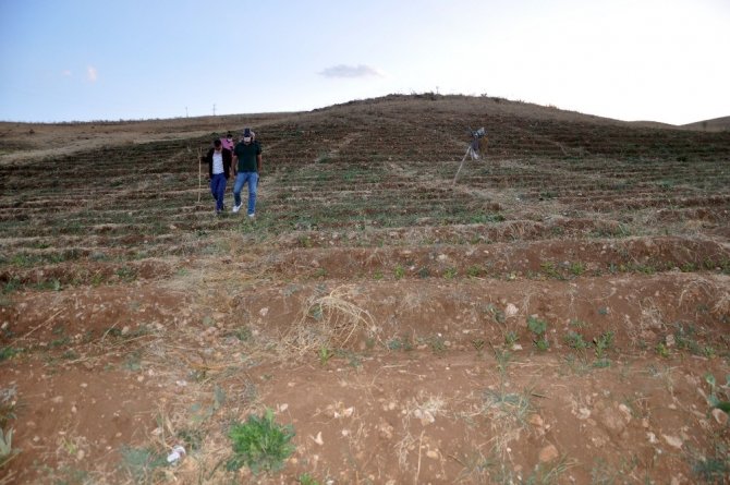 Bin 900 rakımlı 15 bin dönüm arazide meşe ağacı yetiştiriciliği