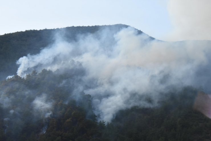 Eskişehir’de alev alan otomobil ormanı yaktı