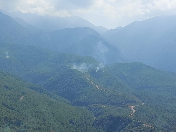 Hatay'da ormanı 8 noktadan ateşe veren şüpheli tutuklandı
