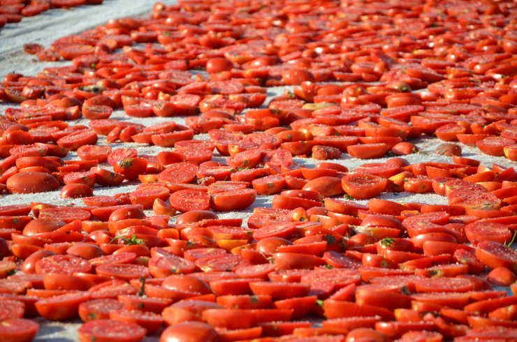 Konya'da üretiliyor, dünyaya ihraç ediliyor