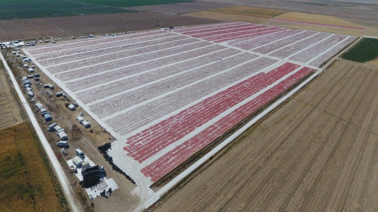 Konya'da üretiliyor, dünyaya ihraç ediliyor