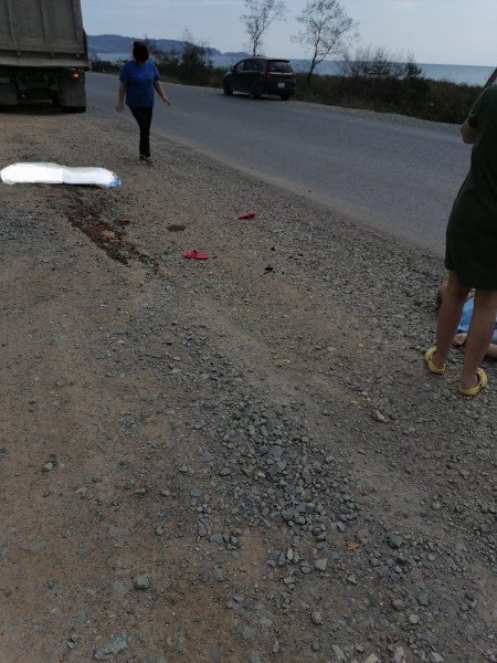Rusya’da çocuklara kamyon çarptı: 1 ölü, 2 yaralı