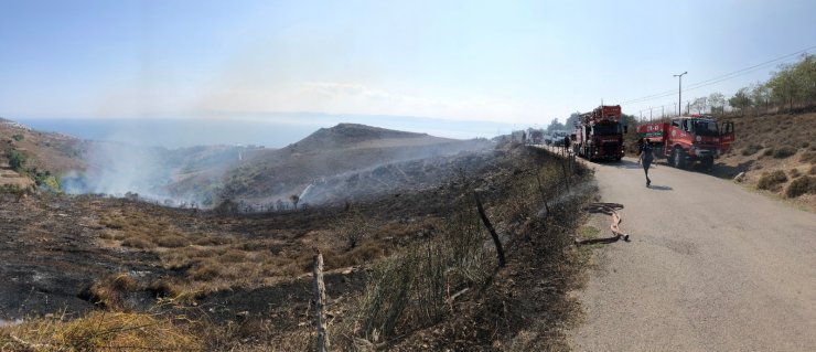 Sinop'taki yangında 10 dönüm otluk alan zarar gördü