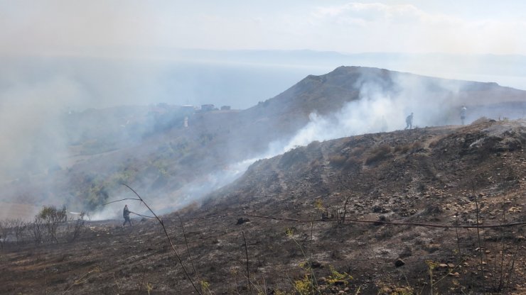 Sinop'taki yangında 10 dönüm otluk alan zarar gördü