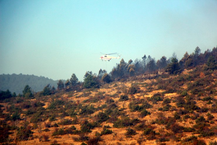 Bolu'da orman yangını kontrol altına alındı; 40 hektar zarar gördü