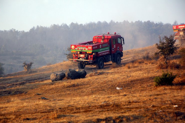 Bolu'da orman yangını kontrol altına alındı; 40 hektar zarar gördü