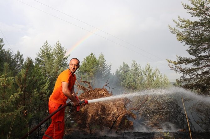 Devrilen ağacın kopardığı elektrik teli ormanı yaktı