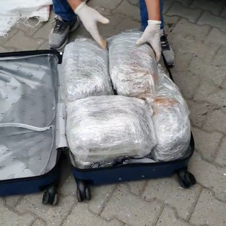 Sakarya'da 52,5 kilo 'esrar' ele geçirildi: 5 tutuklama