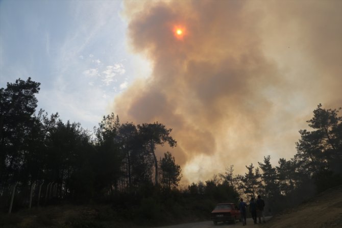 Kahramanmaraş'taki orman yangını sürüyor