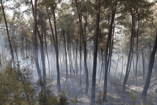 Kahramanmaraş'taki orman yangını sürüyor