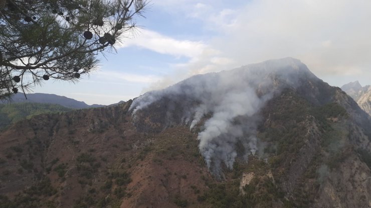 Kahramanmaraş'ta, ormanlık alana düşen yıldırım yangın çıkardı