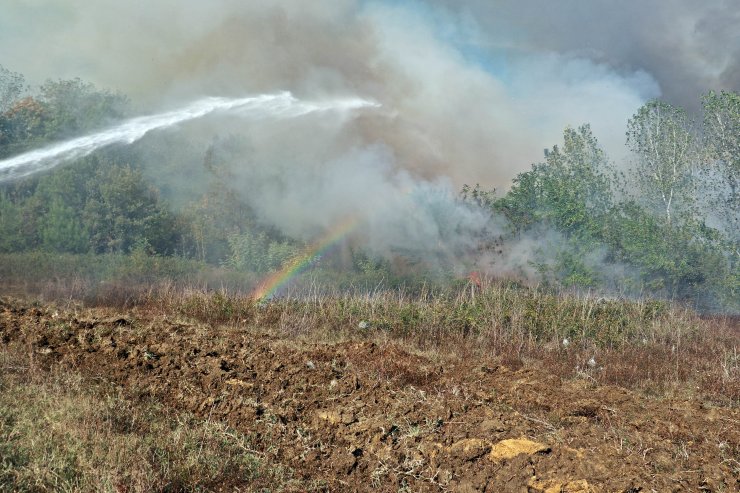 Samsun'da orman yangını söndürüldü