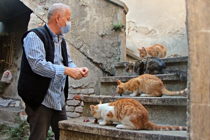 Emekli maaşıyla sokak kedilerine bakıyor
