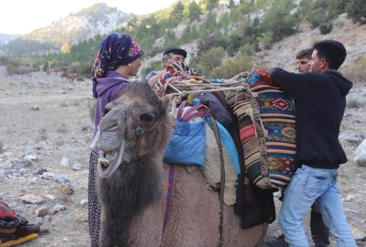 Sarıkeçili Yörüklerin develerle kış yurdu göçü başladı