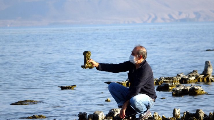 Van Gölü'nde sular çekilince mikrobiyalitler ortaya çıktı