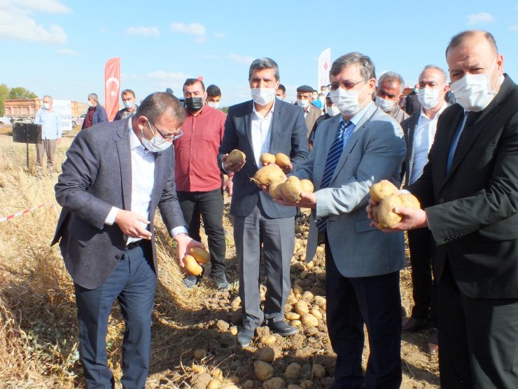 Yozgat'ta 8 çeşit yerli patates hasadı yapıldı