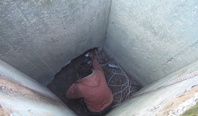 Kuyuda mahsur kalan kediyi çoban kurtardı