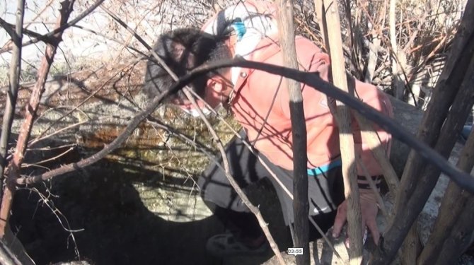 Kuyuda mahsur kalan kediyi çoban kurtardı