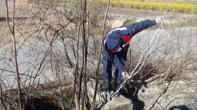 Kuyuda mahsur kalan kediyi çoban kurtardı
