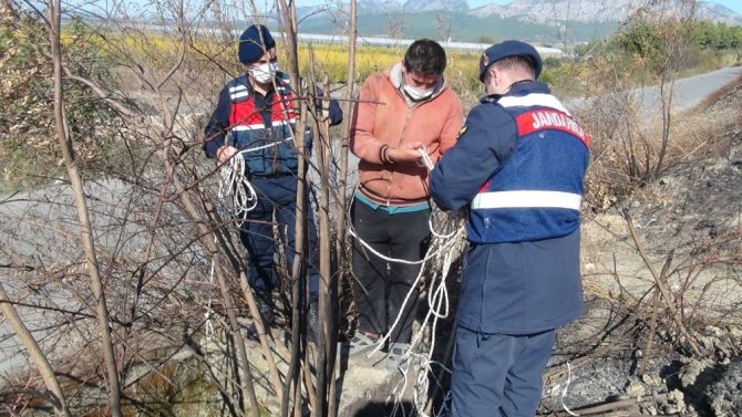 Kuyuda mahsur kalan kediyi çoban kurtardı