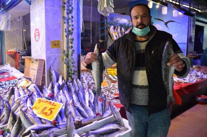 Kefal 15 lira ile tezgâhın en ucuz balığı oldu