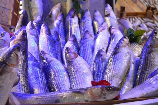 Kefal 15 lira ile tezgâhın en ucuz balığı oldu