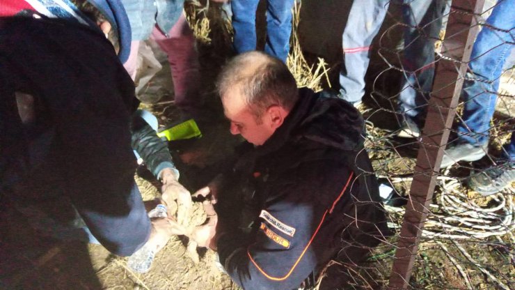 Kuyuya düşen yavru köpek, AFAD ekiplerince kurtarıldı