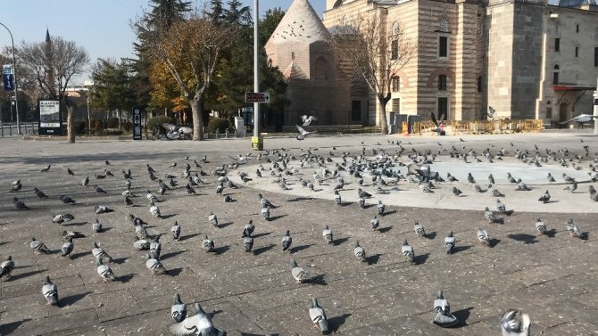Konya’da sokak ve caddeler güvercinler ve sokak hayvanlarına kaldı