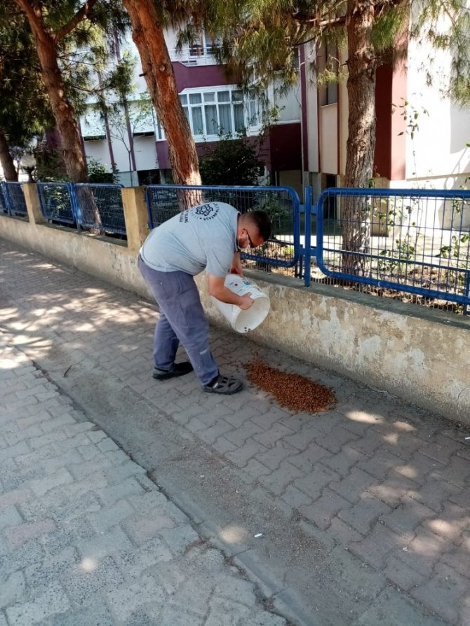 Zor günlerde sokak hayvanları Süleymanpaşa Belediyesine emanet